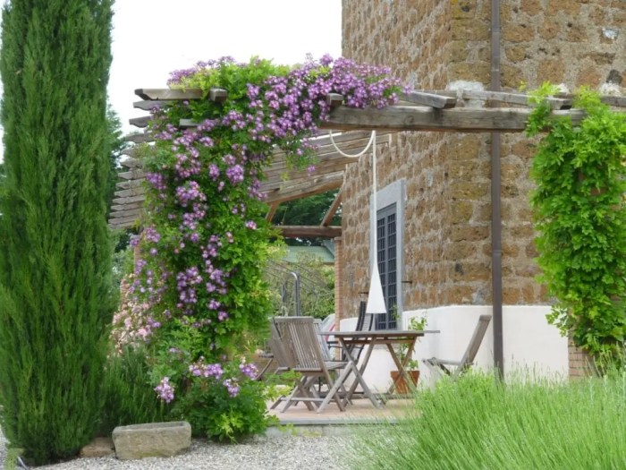 Hanging Plants Indoor | 10 Hanging Plants for Pergolas: Create a Verdant Oasis