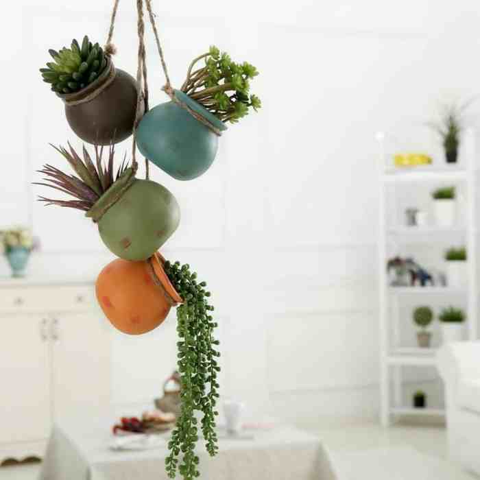 Hanging Plants Indoor | Hanging Flower Pots: Indoor Beauty and Vertical Gardens