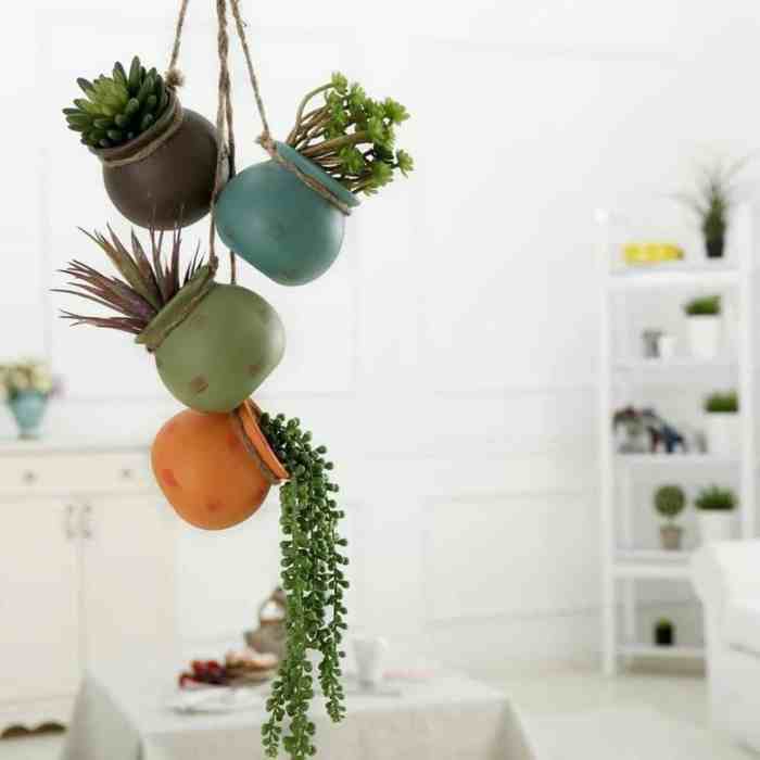 Hanging Plants Indoor | Indoor Hanging Planters with Drainage: A Guide to Greenery from Above
