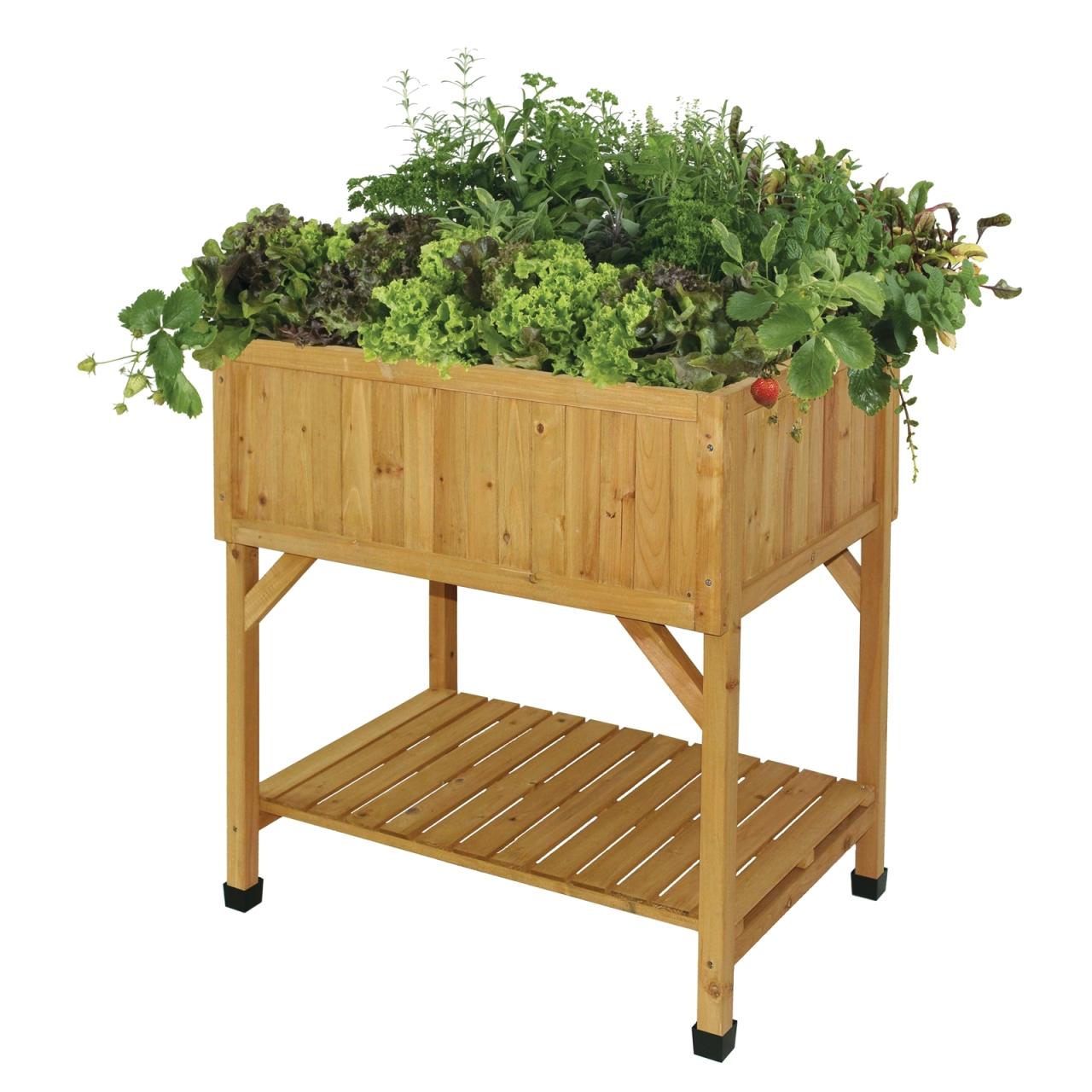 Hanging Plants Indoor | Herb Planter Bunnings: Your Guide to Growing Fresh Herbs at Home