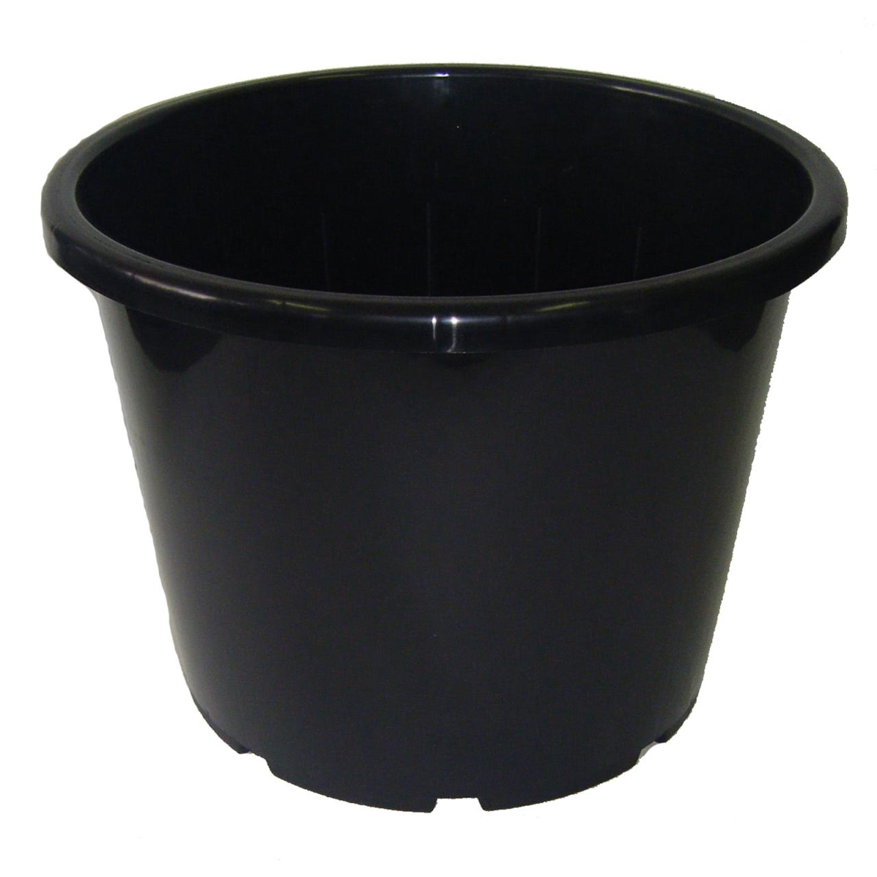 Hanging Plants Indoor | Bunnings Black Plastic Plant Pots: A Comprehensive Guide