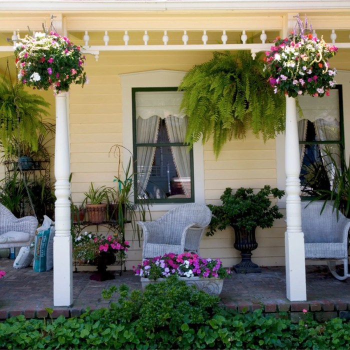 Hanging Plants Indoor | Hanging Plants for Front Porch: Beautify Your Entryway with Greenery