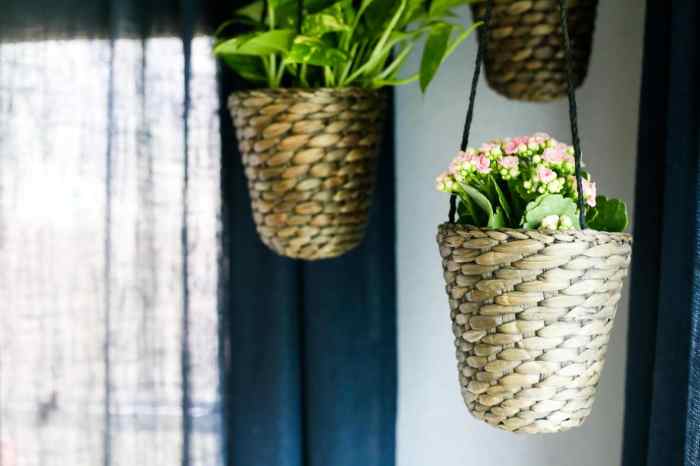 Hanging Plants Indoor | 5 DIY Hanging Planter Ideas for Indoor Decor