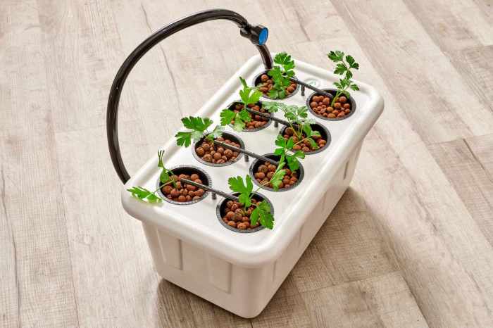 Hanging Plants Indoor | Bunnings Hydroponics Pots: The Ultimate Guide to Choosing and Using