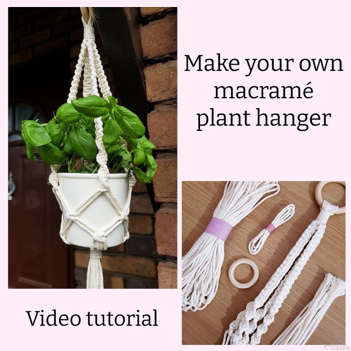 Hanging Plants Indoor | 10 Hanging Plants Kit: Elevate Your Living Space with Lush Greenery