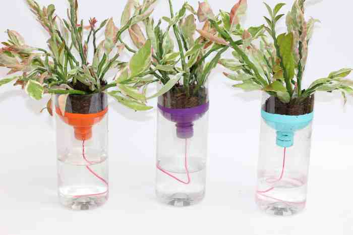 Hanging Plants Indoor | Indoor Wall Planters: Self-Watering Solutions for Lush Vertical Gardens