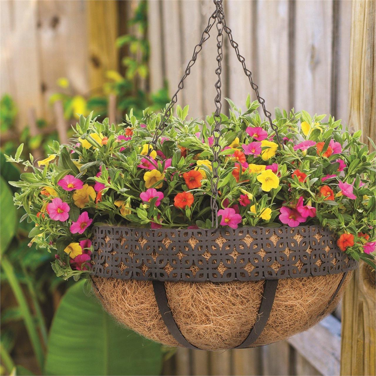 Hanging Plants Indoor | Cane Hanging Baskets: A Versatile Addition to Your Home Decor from Bunnings