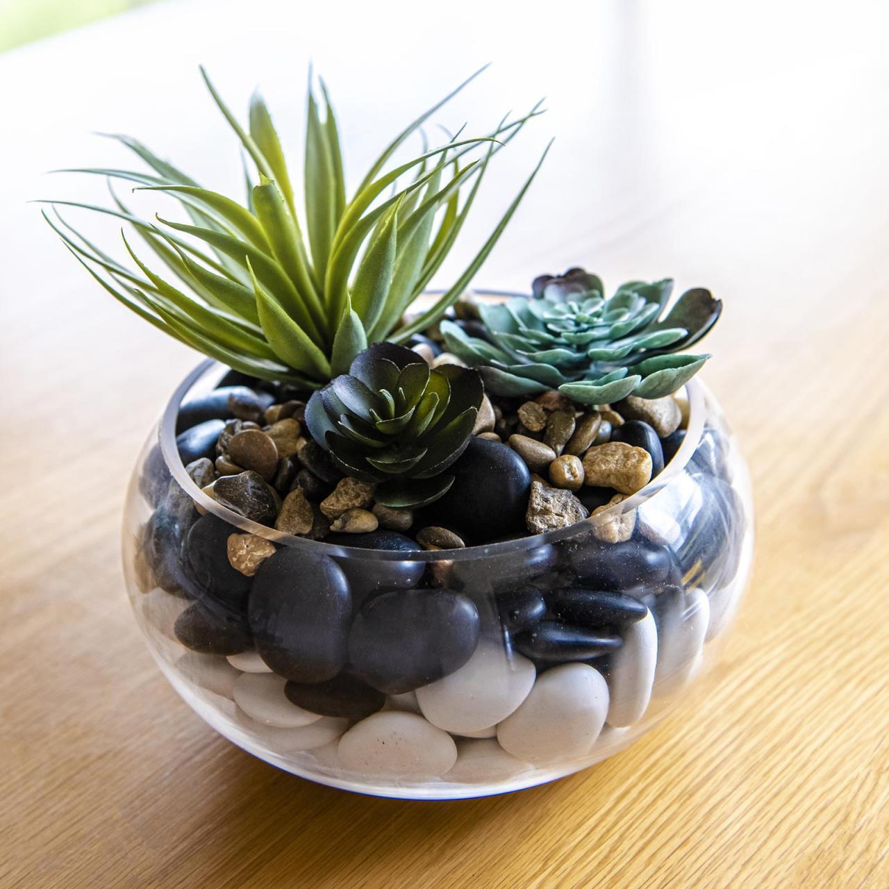 Hanging Plants Indoor | Discover the Beauty and Functionality of Bunnings Glass Planters