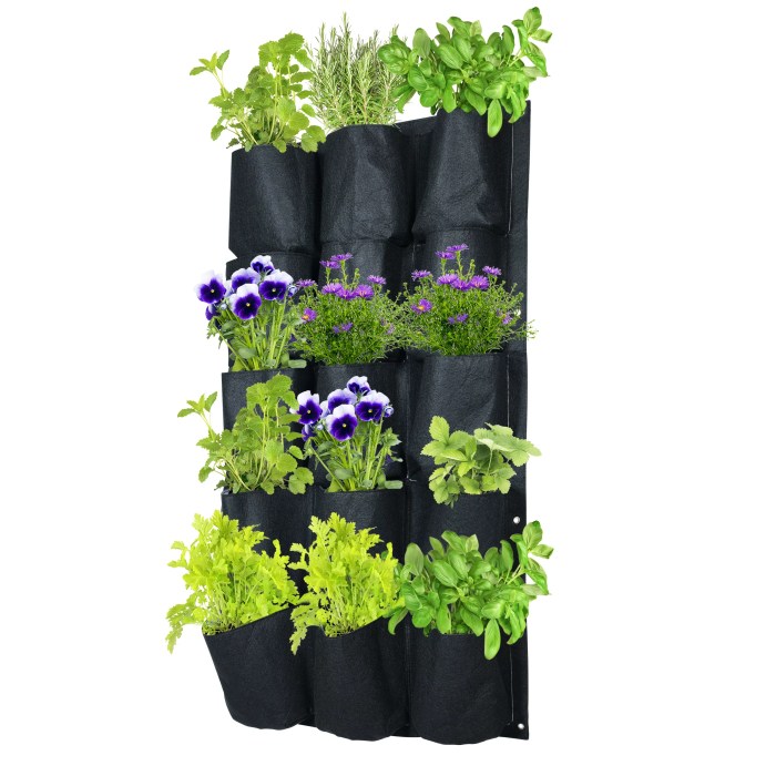 Hanging Plants Indoor | Hanging Wall Planters from Bunnings: Enhance Your Home Decor