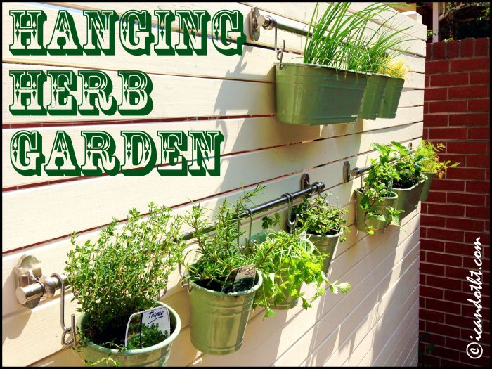 Hanging Plants Indoor | 5 DIY Hanging Window Herb Gardens for a Fresh and Fragrant Kitchen
