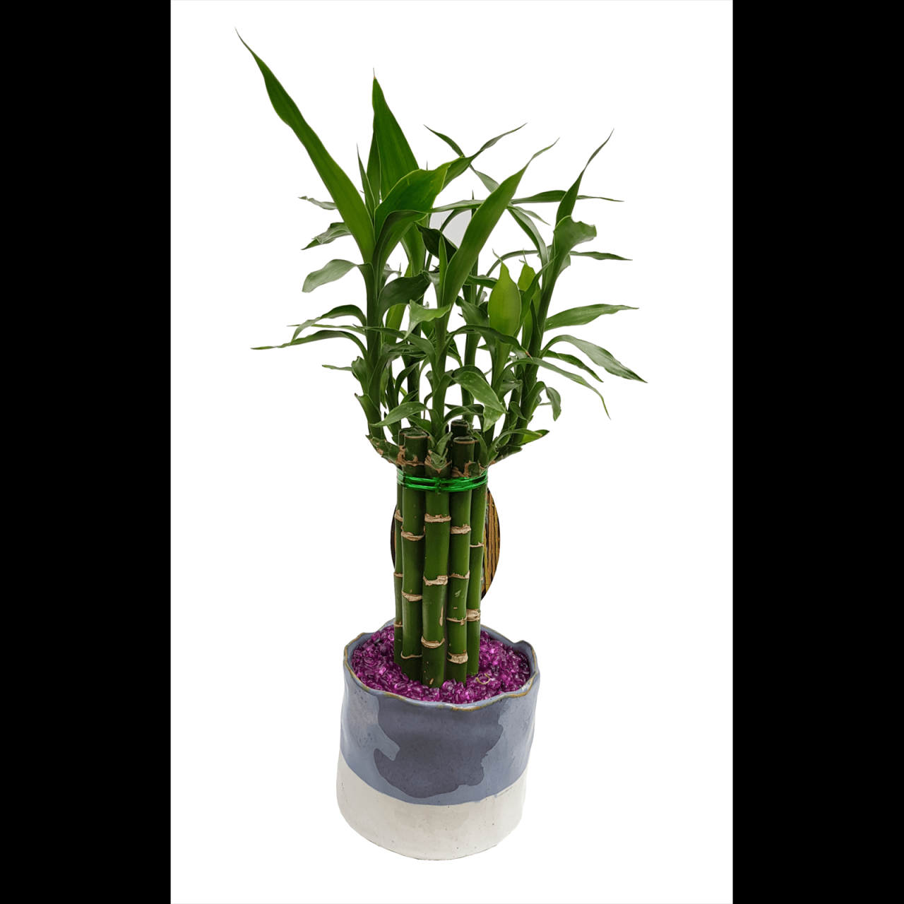 Hanging Plants Indoor | Bamboo Pot Plants from Bunnings: Enhance Your Home with Natural Elegance