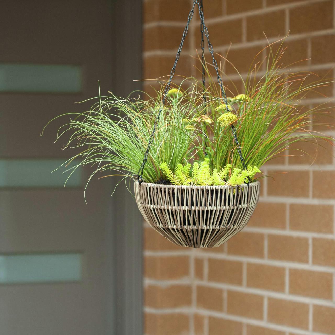 Hanging Plants Indoor | Hanging Baskets at Bunnings: A Guide to Varieties, Selection, and Care