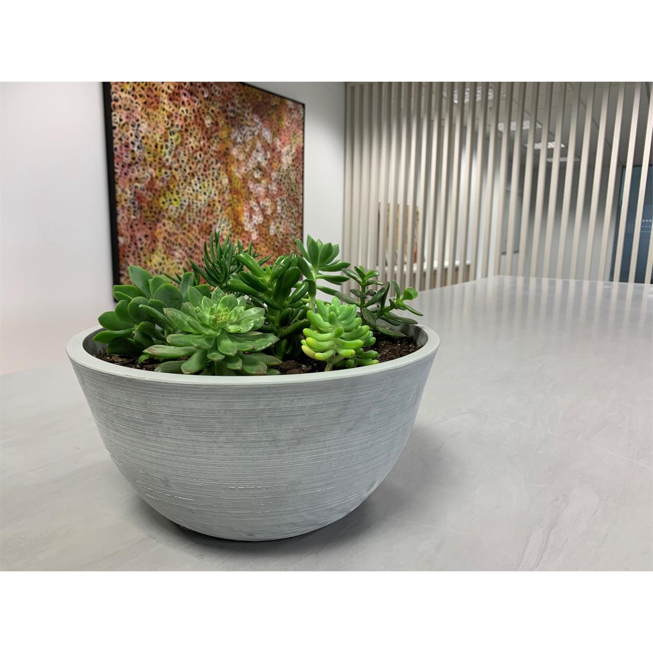 Hanging Plants Indoor | Bunnings Bowl Planter: Stylish Designs, Plant Selection, and DIY Projects
