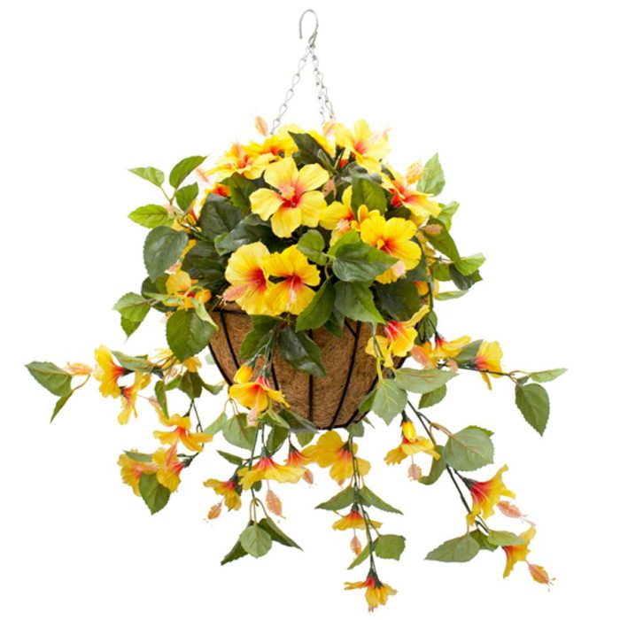 Hanging Plants Indoor | Yellow Flowers Hanging Baskets: A Guide to Creating Vibrant Outdoor Displays
