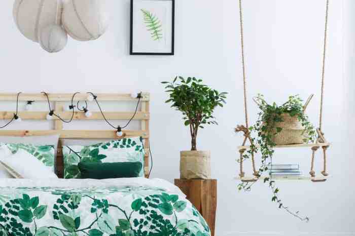 Hanging Plants Indoor | Best Plants to Hang in Your Bedroom for a Healthier, More Relaxing Space