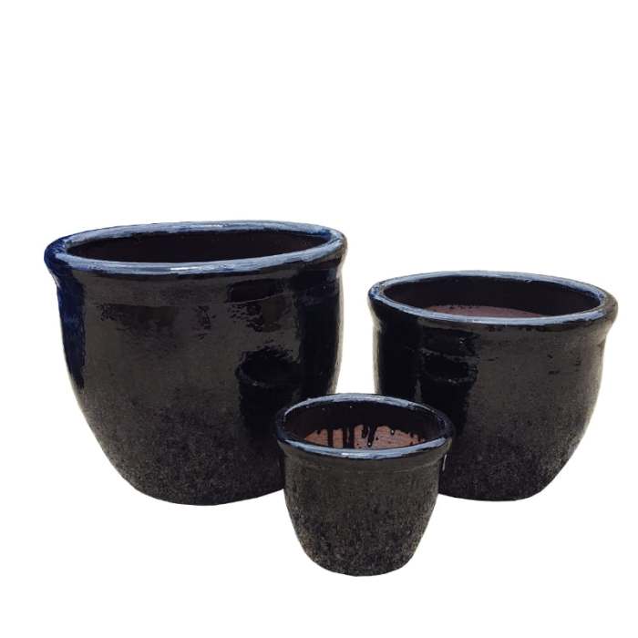 Hanging Plants Indoor | Black Glazed Pots: Enhance Your Home Decor with Style and Versatility