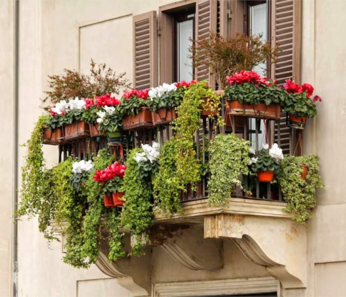 Hanging Plants Indoor | Best Plants for Sunny Balconies: A Guide to Creating a Thriving Outdoor Oasis