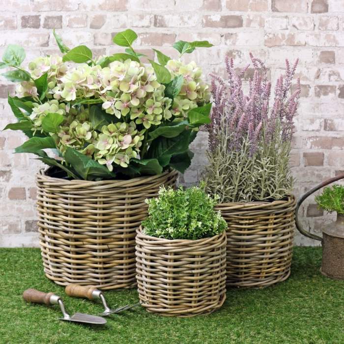 Hanging Plants Indoor | Basket Plant Pots Indoor: Enhancing Your Home Decor with Natural Elegance