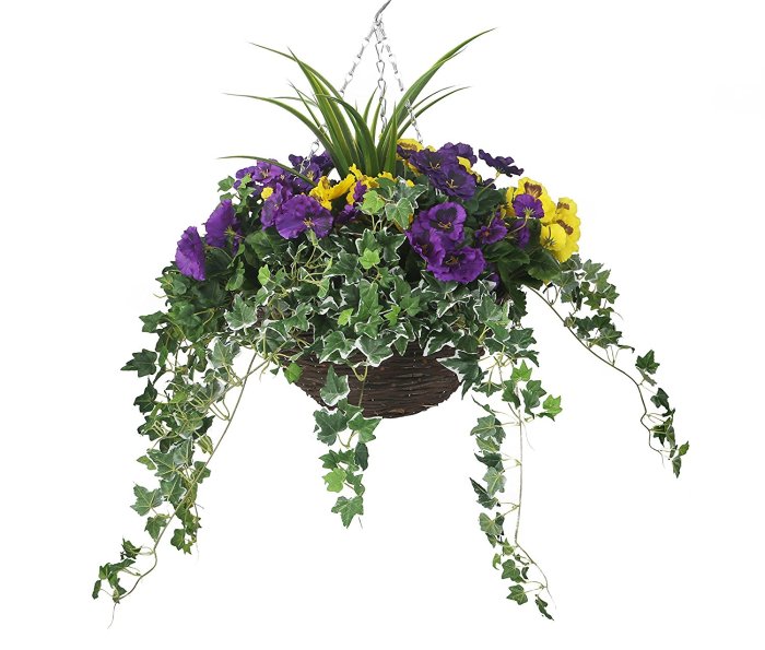 Hanging Plants Indoor | Grey Indoor Hanging Baskets: A Comprehensive Guide to Elevate Your Home Decor