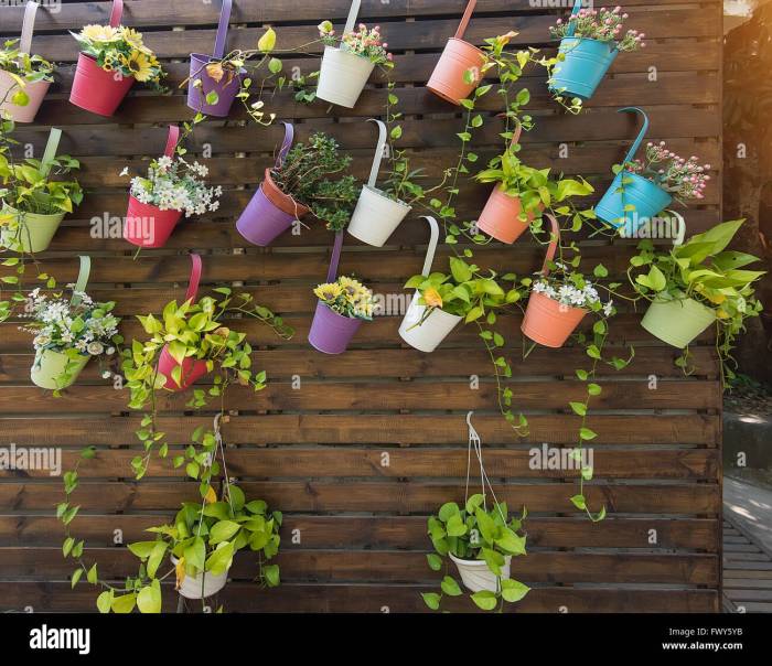 Hanging Plants Indoor | Transform Your Fence with Bunnings Hanging Pots: A Guide to Styles, Mounting, and Plant Care