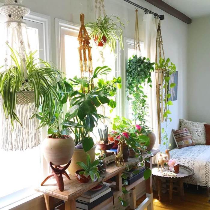 Hanging Plants Indoor | Hanging Plants Decor Ideas: Elevate Your Space with Greenery