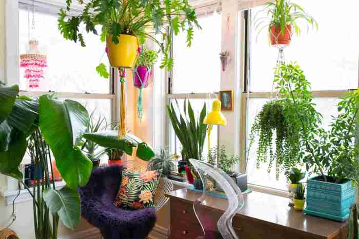 Hanging Plants Indoor | 10 Hanging Plants to Transform Your Apartment into a Serene Oasis