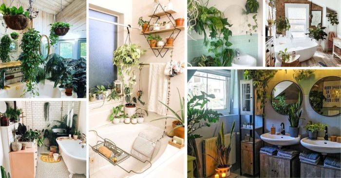 Hanging Plants Indoor | 10 Hanging Plants That Will Transform Your Bathroom Into a Lush Oasis