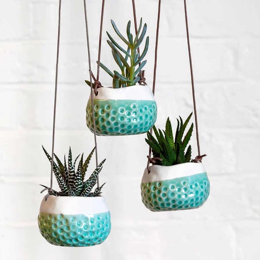 Hanging Plants Indoor | Hanging Plant Pots Indoor UK: Elevate Your Home with Greenery
