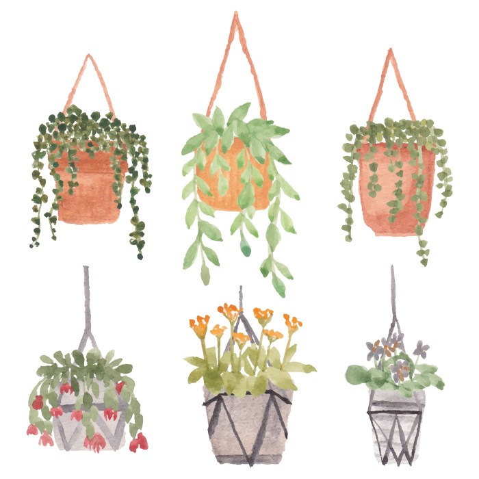Hanging Plants Indoor | Hanging Plants and Pots: A Guide to Enhancing Your Home Decor