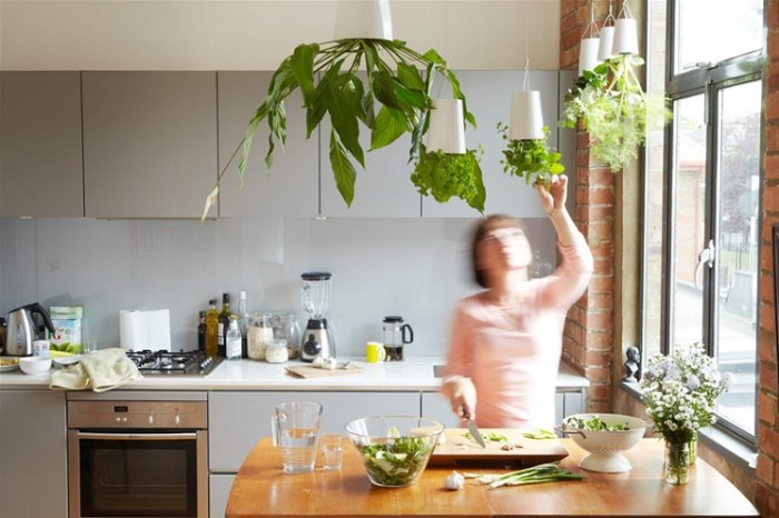 Hanging Plants Indoor | 5 Hanging Herb Garden Indoor: A Space-Saving, Convenient, and Air-Purifying Solution