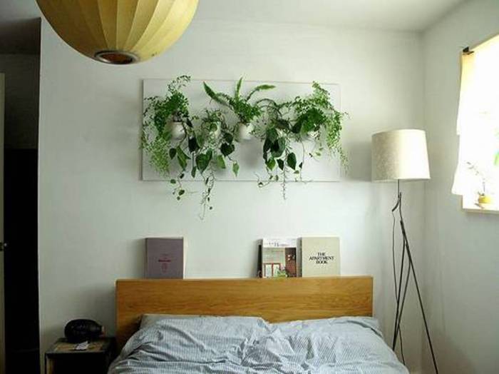 Hanging Plants Indoor | Best Plants to Hang in Your Bedroom for a Healthier, More Relaxing Space