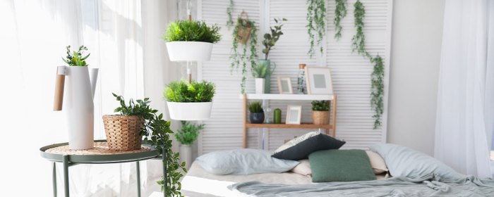 Hanging Plants Indoor | 10 Hanging Plants to Elevate Your Living Room
