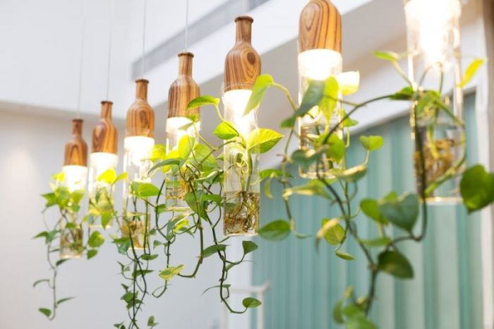 Hanging Plants Indoor | 10 Hanging Plants Lights: A Guide to Lighting, Display, and Care