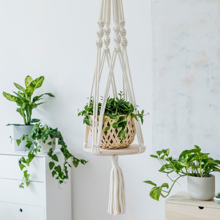 Hanging Plants Indoor | 10 Hanging Plants from Home Depot to Elevate Your Space