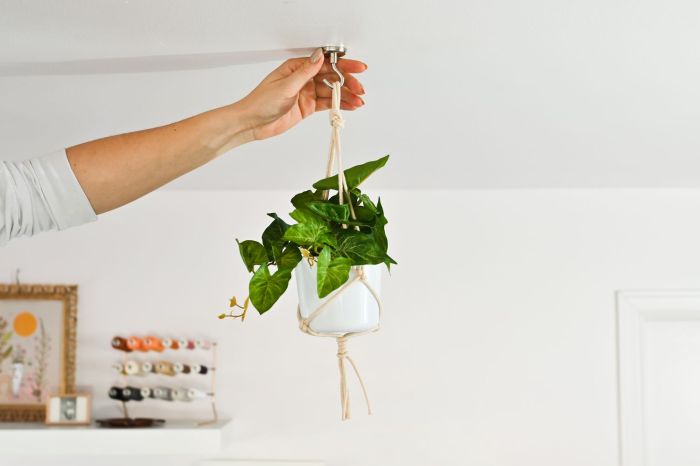 Hanging Plants Indoor | Hanging Plants with Command Hooks: Elevate Your Home Décor