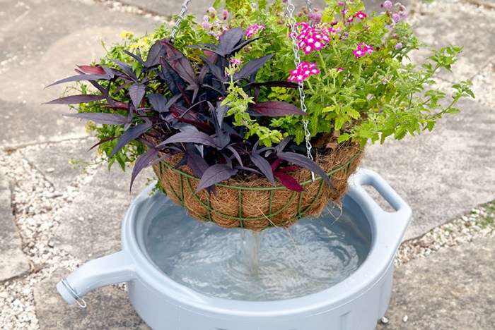 Hanging Plants Indoor | Hanging Plant Waterer Bunnings: Enhancing Plant Care with Convenience