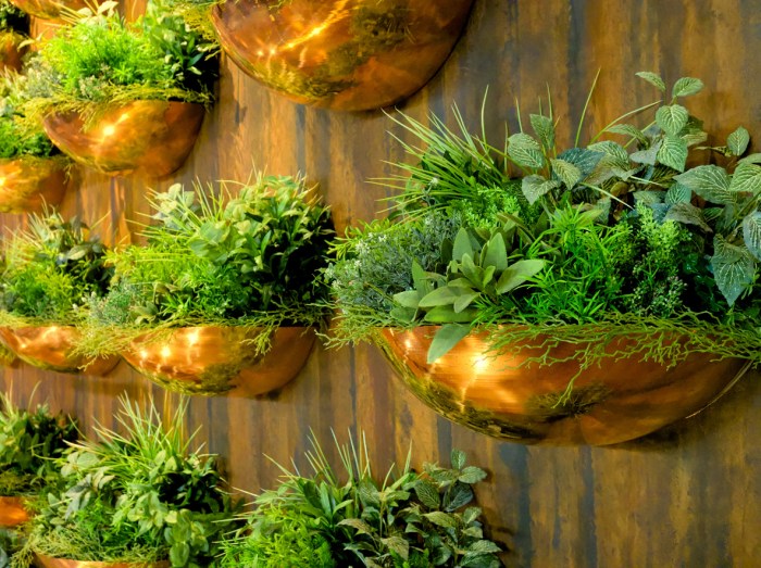 Hanging Plants Indoor | Wall-Mounted Herb Gardens: An Indoor Oasis of Flavor and Aesthetics