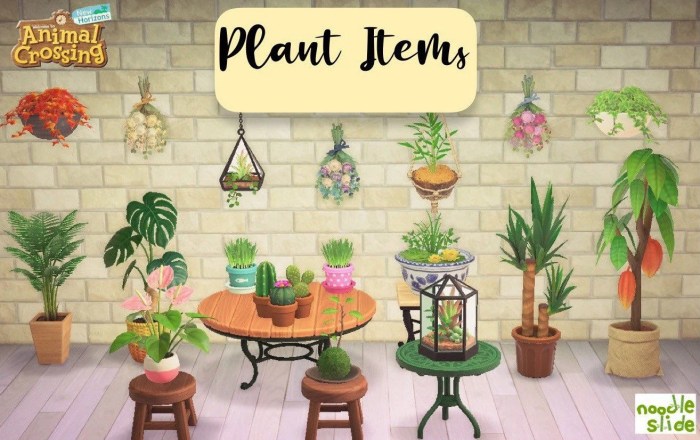 Hanging Plants Indoor | Hanging Plants in ACNH: Design, Benefits, and Customization