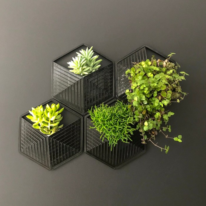Hanging Plants Indoor | Black Indoor Wall Planters: Elevate Your Home Decor with Bold Elegance