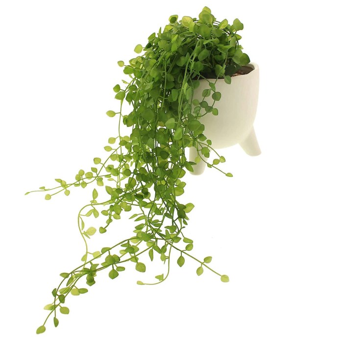 Hanging Plants Indoor | Artificial Trailing Plants in Pots: Enhancing Indoor Spaces with Greenery and Style