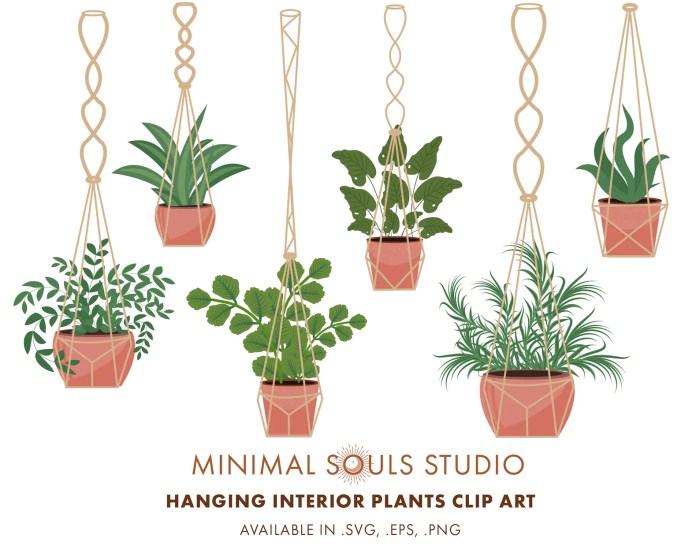 Hanging Plants Indoor | Hanging Plants Clipart: Enhance Your Indoor Spaces with Aesthetic Appeal