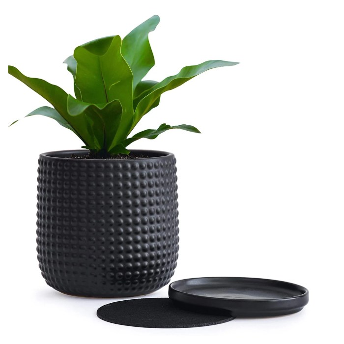 Hanging Plants Indoor | Black Plant Pots Bunnings: Enhance Your Home Decor with Stylish and Practical Planters