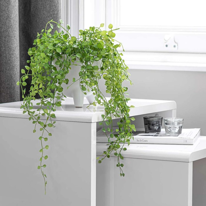 Hanging Plants Indoor | Fake Trailing Plants in Pots: A Guide to Enhance Home Decor