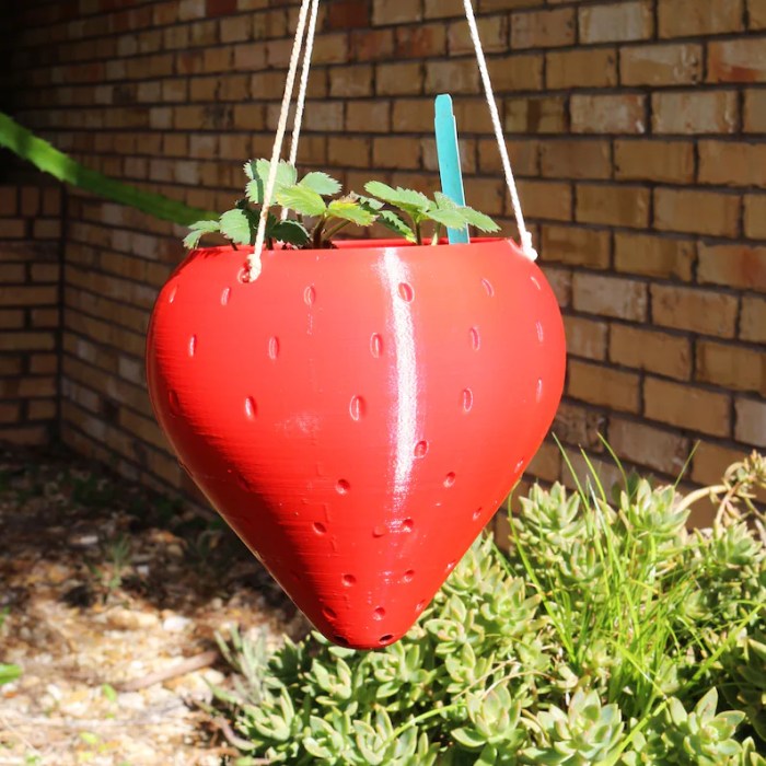Hanging Plants Indoor | Hanging Strawberry Planters: A Comprehensive Guide from Bunnings