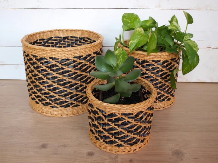 Hanging Plants Indoor | Baskets for House Plants: Elevate Your Home Decor and Plant Care