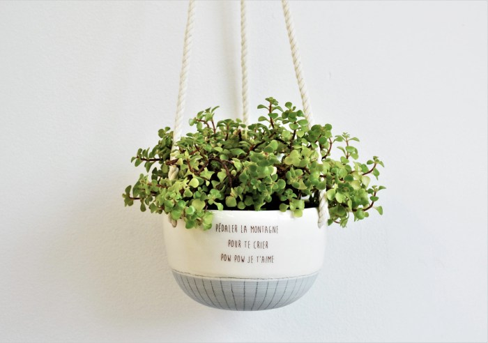 Hanging Plants Indoor | 10 Hanging Plants Quotes to Inspire Your Indoor Oasis