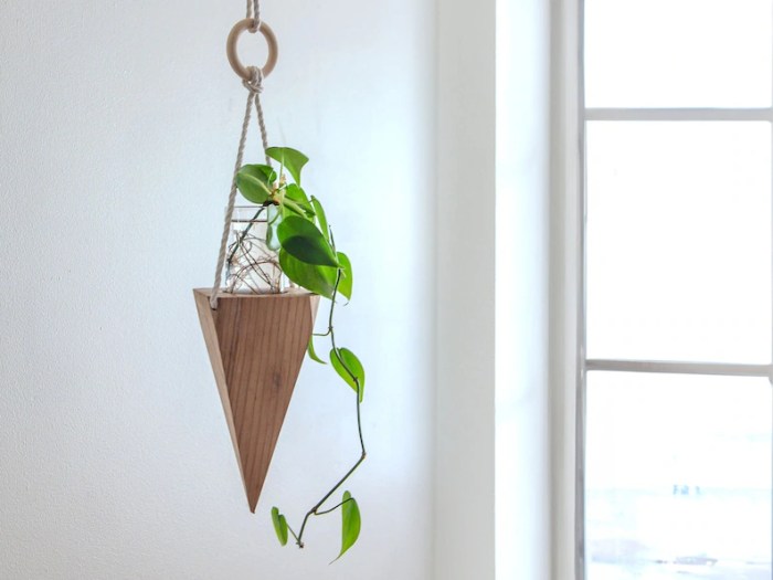Hanging Plants Indoor | Hanging Plants Display: A Guide to Greenery and Style