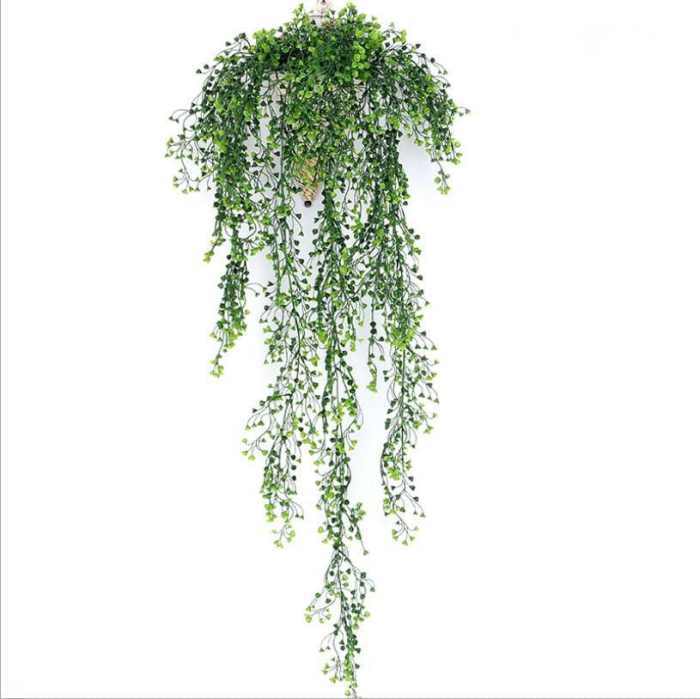 Hanging Plants Indoor | Hanging Vines at Bunnings: Enhance Your Garden with Lush Greenery