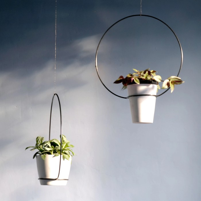 Hanging Plants Indoor | Bunnings Hanging Pot Plant Holders: A Guide to Types, Styles, and Decor