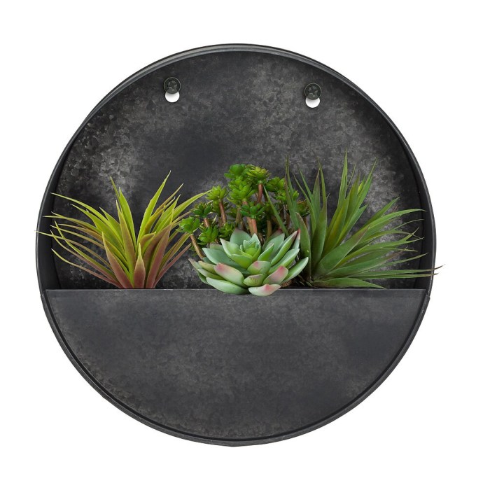 Hanging Plants Indoor | Circle Wall Planters: Elevate Your Indoor Decor with Style